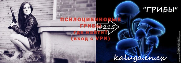 соль ск Алзамай