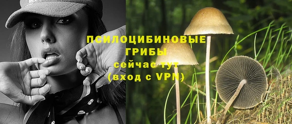 прущие грибы Алексин