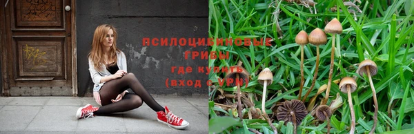 соль ск Алзамай