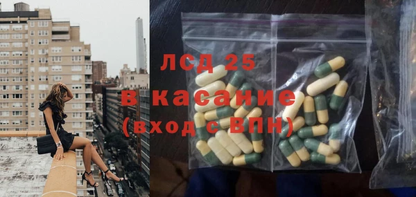 прущие грибы Алексин