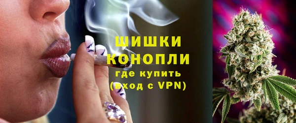 прущие грибы Алексин