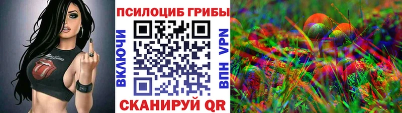 Псилоцибиновые грибы прущие грибы  где можно купить   Буй 
